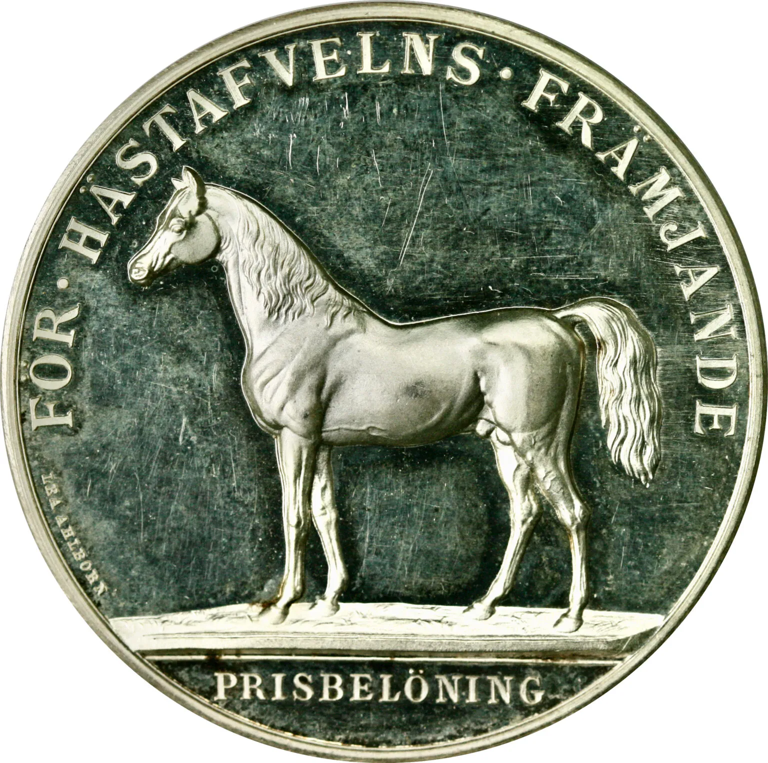 Sverige, för hästafvelns främjande ca. 1897-1906 - Bilde 2
