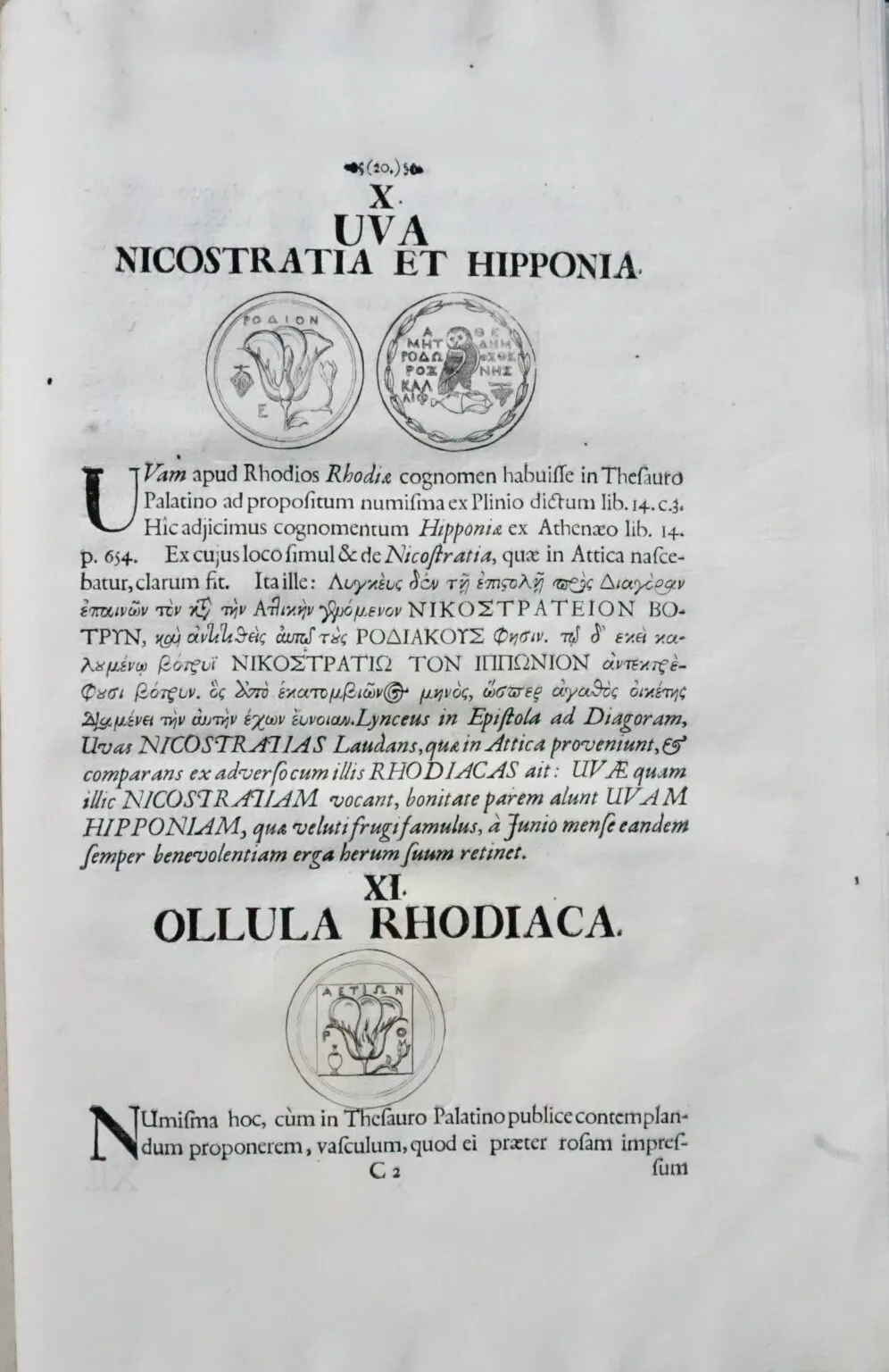 Begero, L. (1692): Spicilegium Antiqvitatis Sive Variarum (....) - Image 3