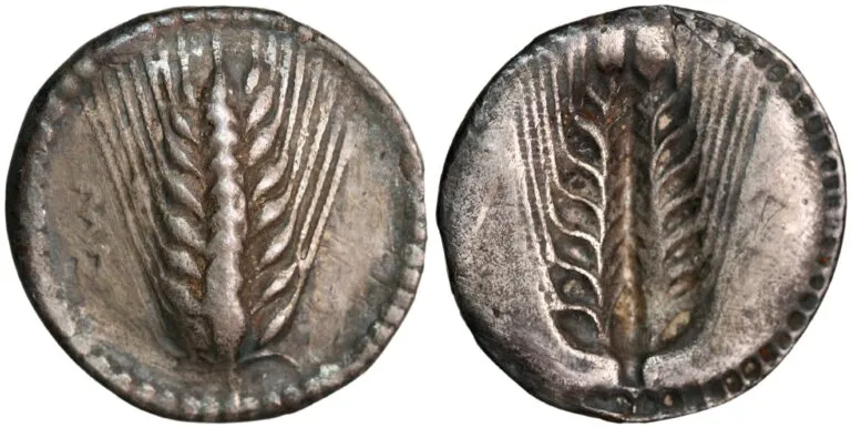 Nomos fra Metapontion i Lucania (ca. 540-510 f. Kr.)