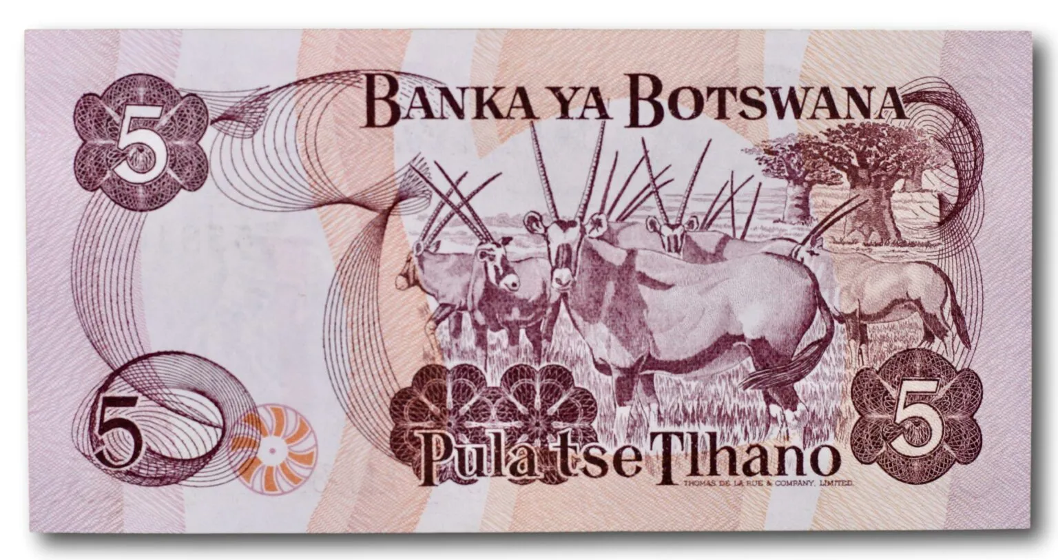 Botswana, 5 pula 1992-1995 - Image 2