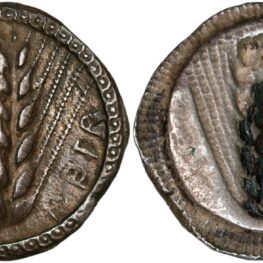 Stater from Metapontion in Lucania (510-470 BC)