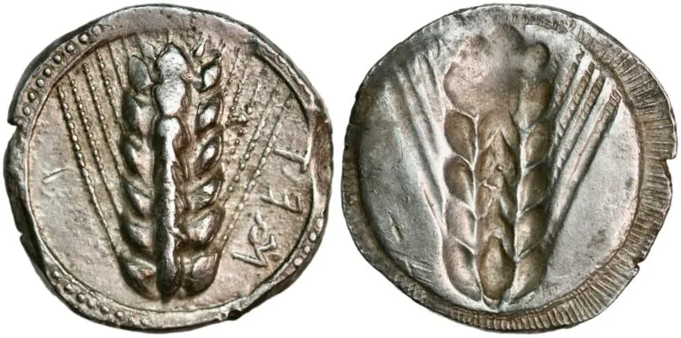 Stater from Metapontion in Lucania (510-470 BC)