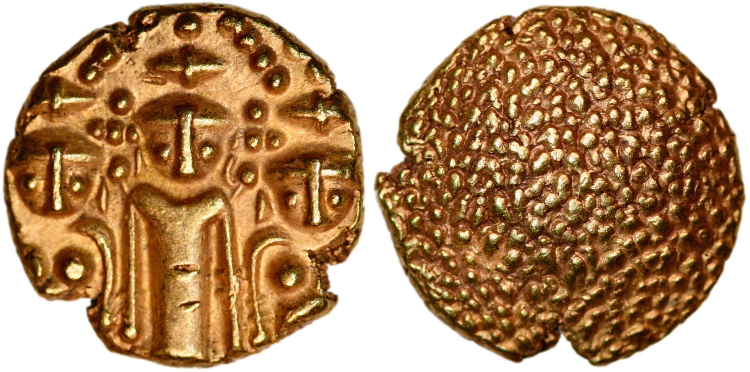 Protokollnr. 5859