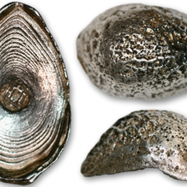 China, One‑tael sycee (19th Century)