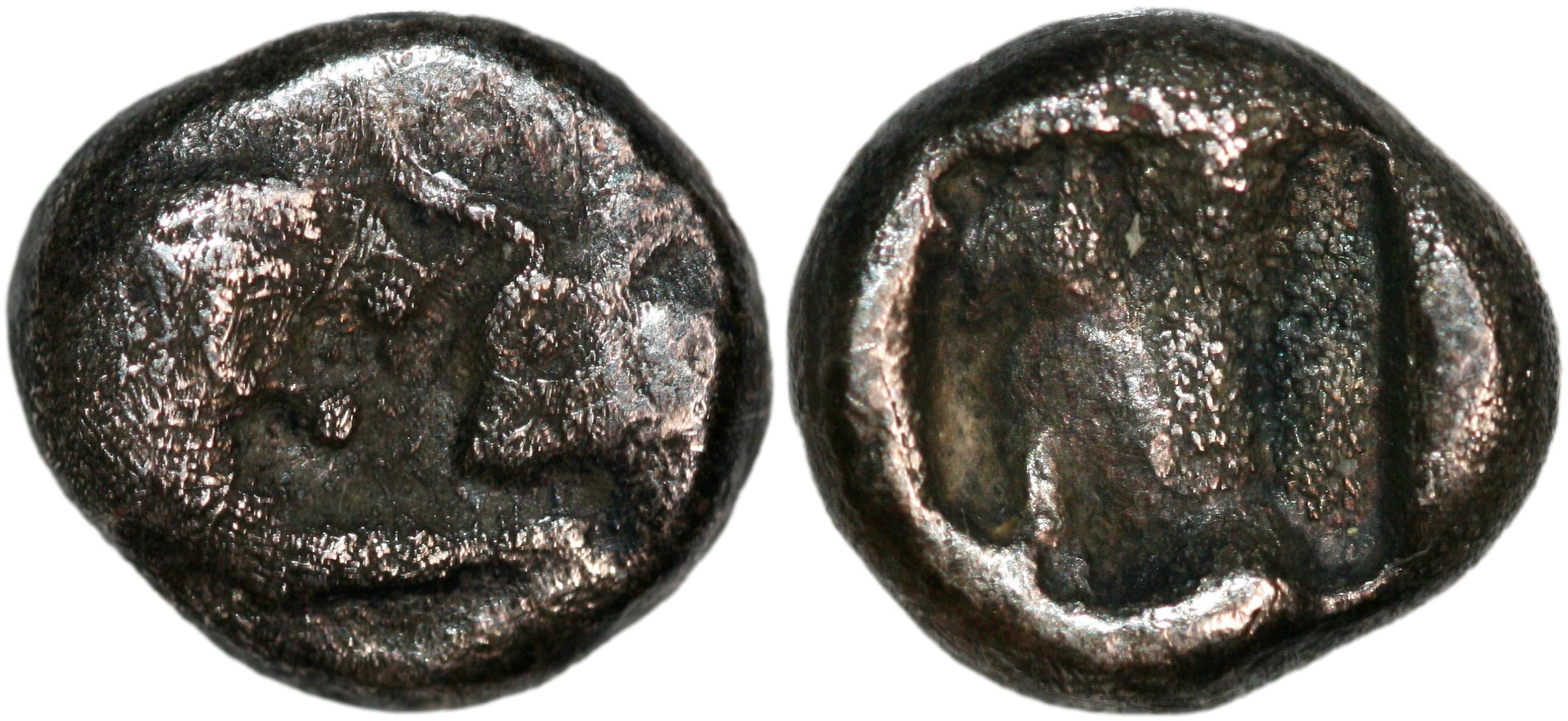 Protokollnr. 6069 e